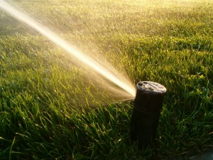 best time to water lawn