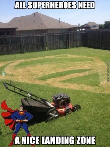 Lawn meme_1