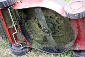 Lawn mower underside