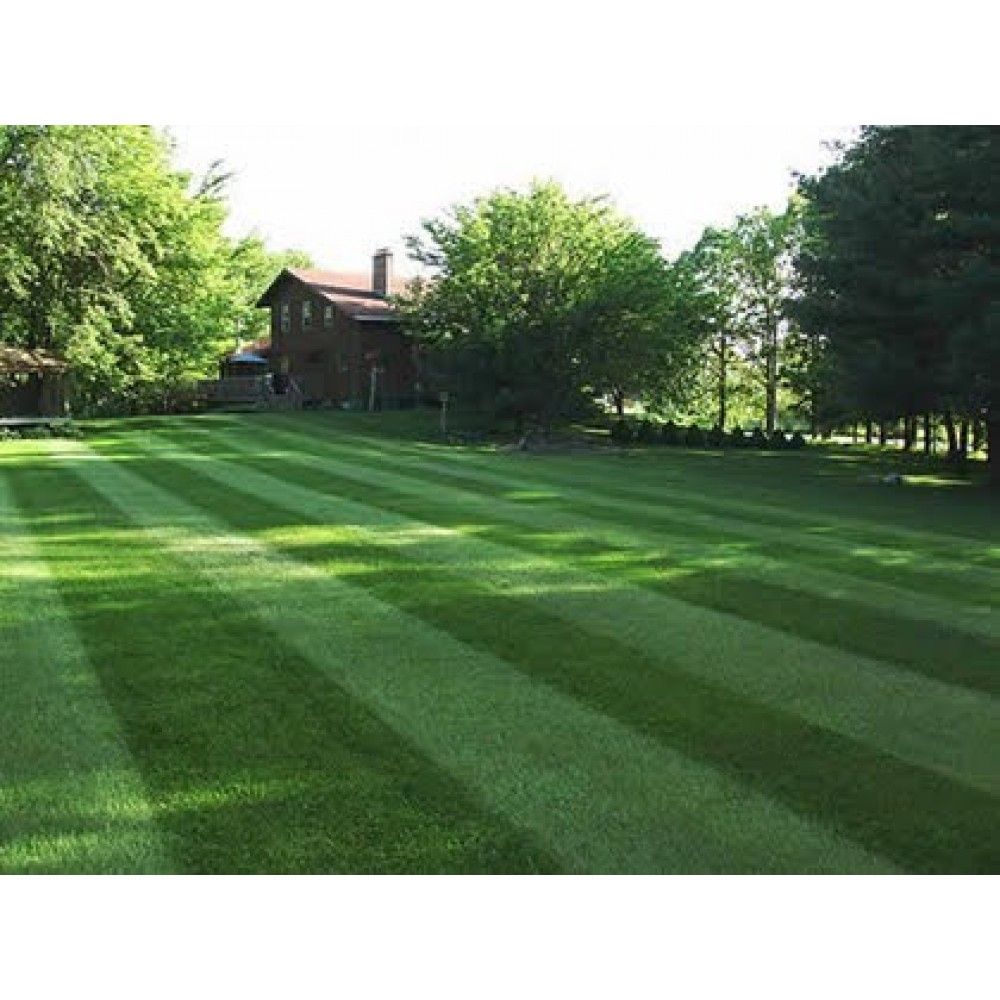 Striping kit for toro timecutter clearance