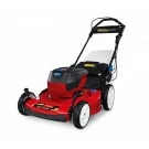 Toro 60V Max Smartstow Personal Pace (22") High Wheel Walk Mower W / Flex Force System - 20363